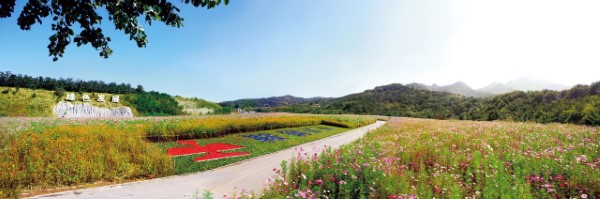 鞍钢矿业绿色矿山建设 (自定义).jpg